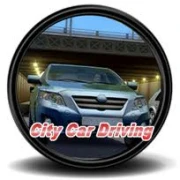 City Car Driving