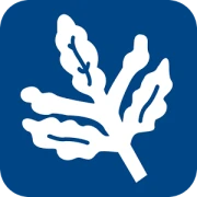 Fenerium Mobil Mağaza