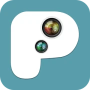 PIP Camera