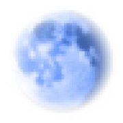 Pale Moon Browser