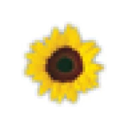 StudioLine Photo Basic