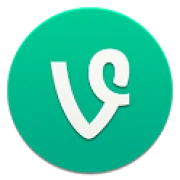 Vine